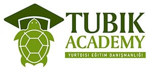 Tubik Academy