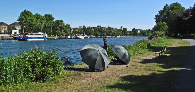 Kingston upon Thames — Food and day‑to‑day living