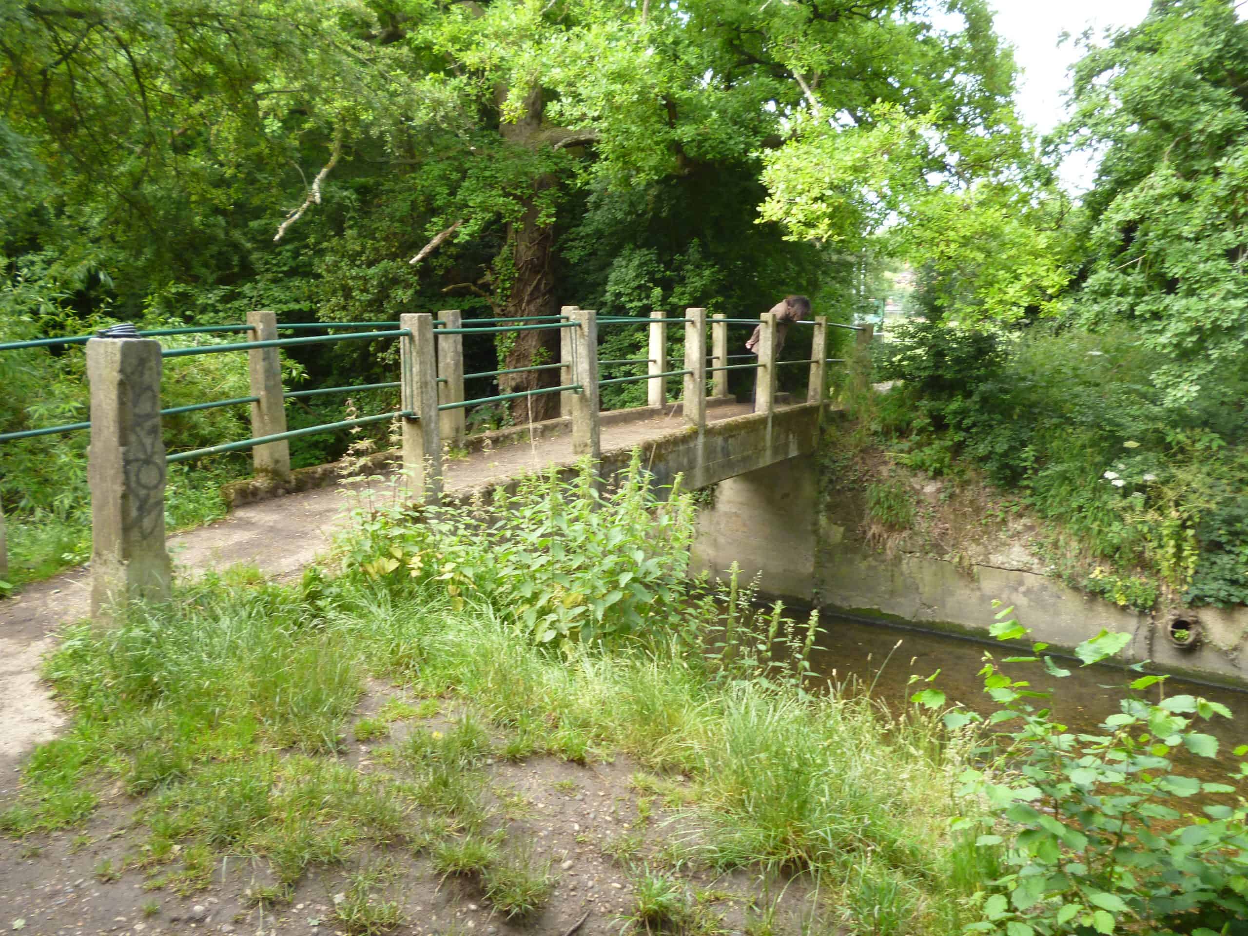 Earlsfield, Southfields and Wimbledon — Local highlights