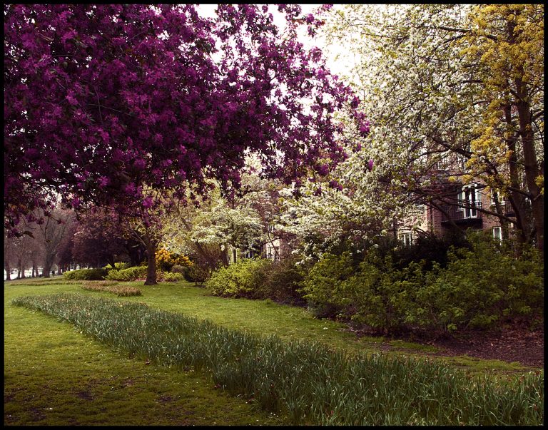 Guide de localisation de Kingston