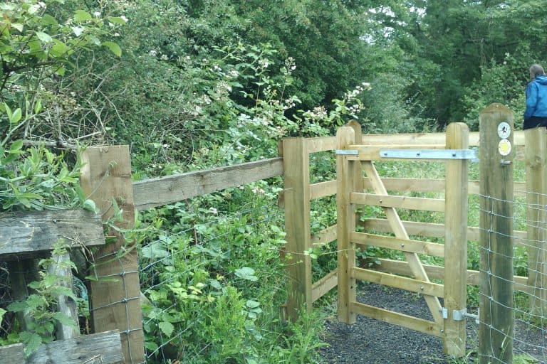 Enfield and Tottenham — Local highlights