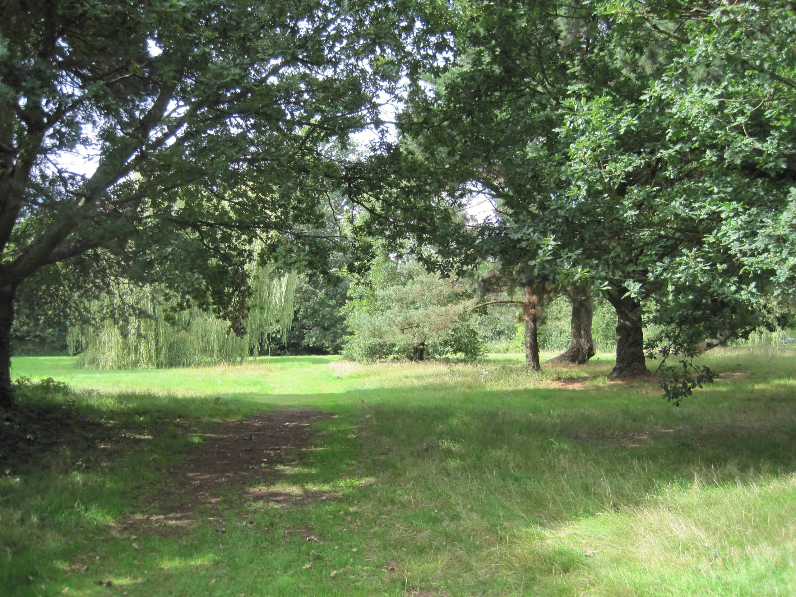 Barnet and Southgate — Local highlights