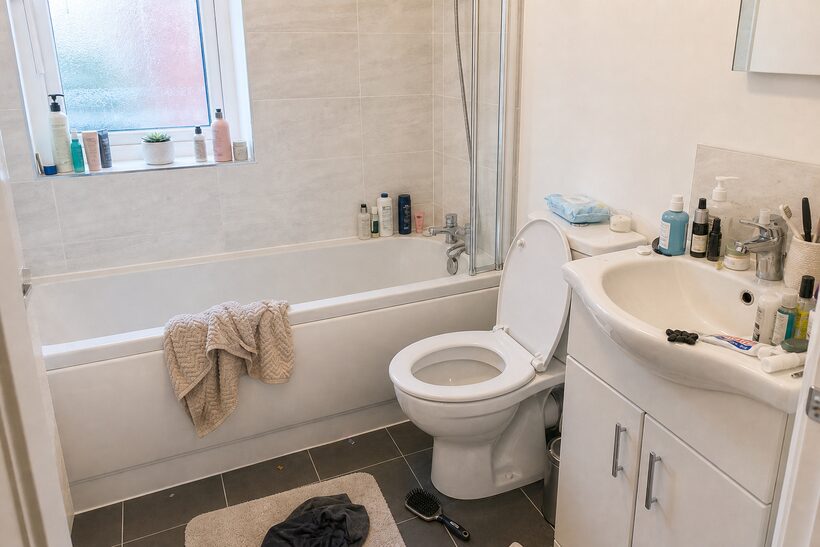 Tidy the bathroom, lid down — what to avoid